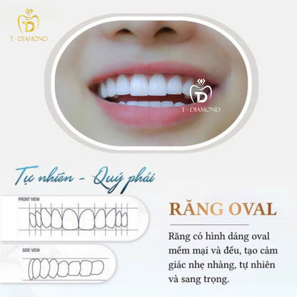 Cercon HT Porcelain Teeth