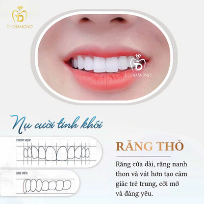 Cercon HT Porcelain Teeth